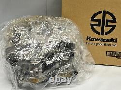 Kawasaki 2009-2010 KX250F Cylinder Head Genuine New 11008-0191