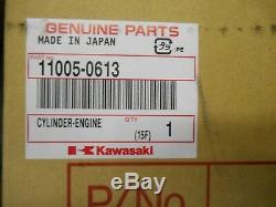 New Kawasaki OEM Cylinder Jug 11005-0613 KX250F KX 250F KXF 250 2013 2014 13-14