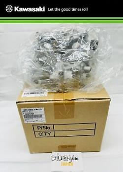 OEM Kawasaki 2009 KX250F Cylinder Head and Gasket Kit 11008-0191 New 11004-0738